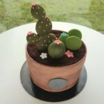 Kaktusz cserépben